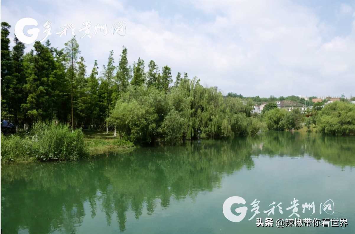 从西到东：贵州——沿河流“黔”行在这里一万种辣椒吃法向你奔来