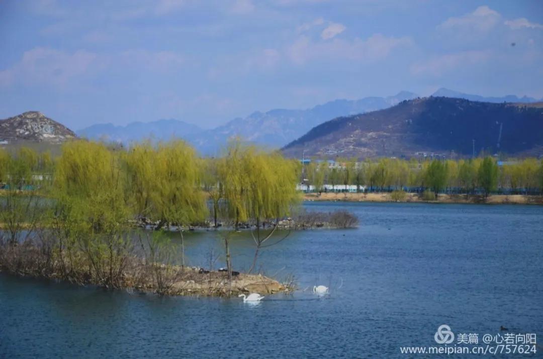 春水初生林初盛春,春水初生林初盛