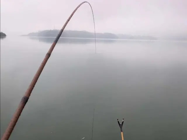 高碳鱼竿是骗人的吗,高碳竿为什么这么贵