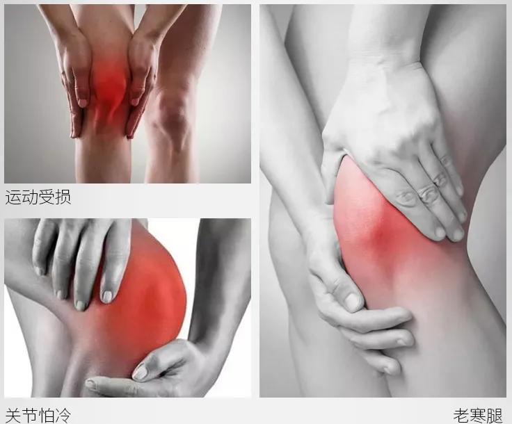 老寒腿膝盖保暖,老寒腿有救了吧
