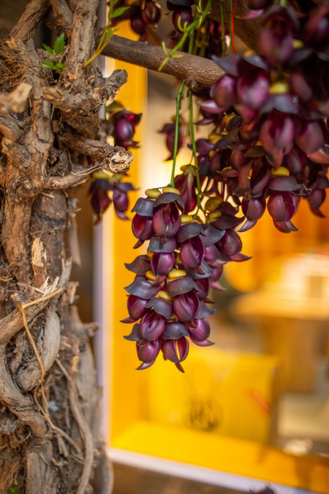 灏煎悍df3000,灏煎悍DF娴嬭瘎