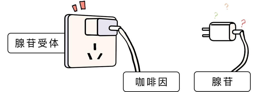 究竟怎样才能早起不困啊,怎么才能早起不困啊