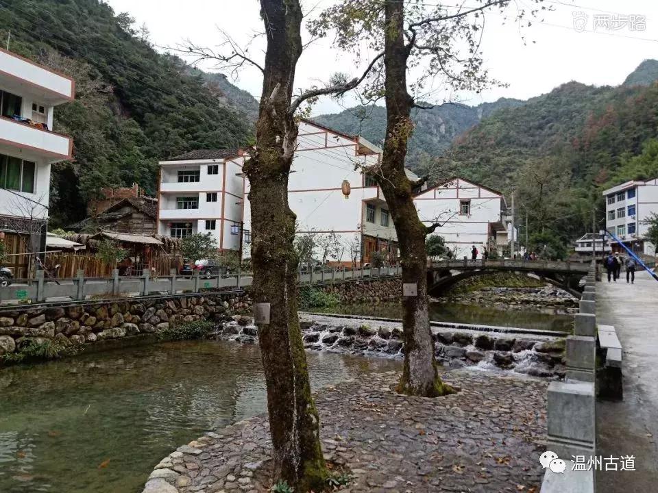 温州茶山红枫古道,浙江温州永嘉红枫古道