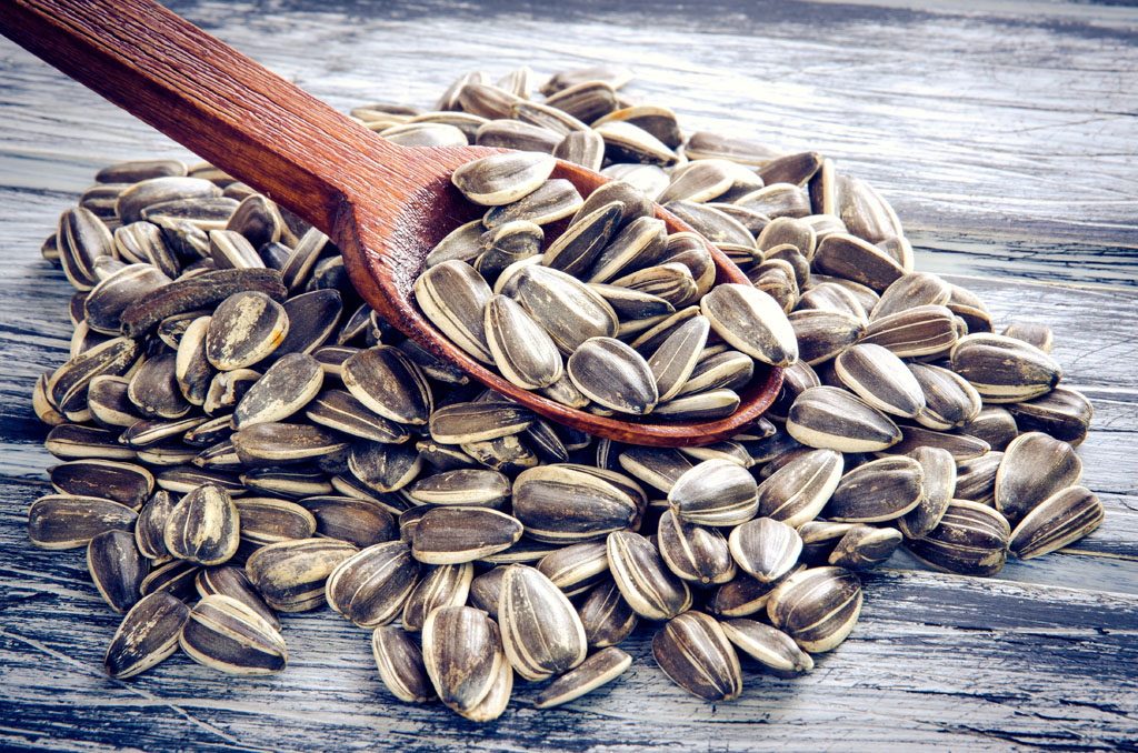 长期吃瓜子有什么害处,大量吃瓜子会上火吗