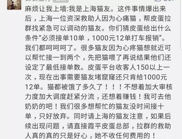 喵星人铲屎官必备,铲屎官出门猫咪怎么办