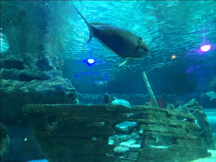 北京工体富国海底世界周一营业,北京工体富国海底世界旅馆