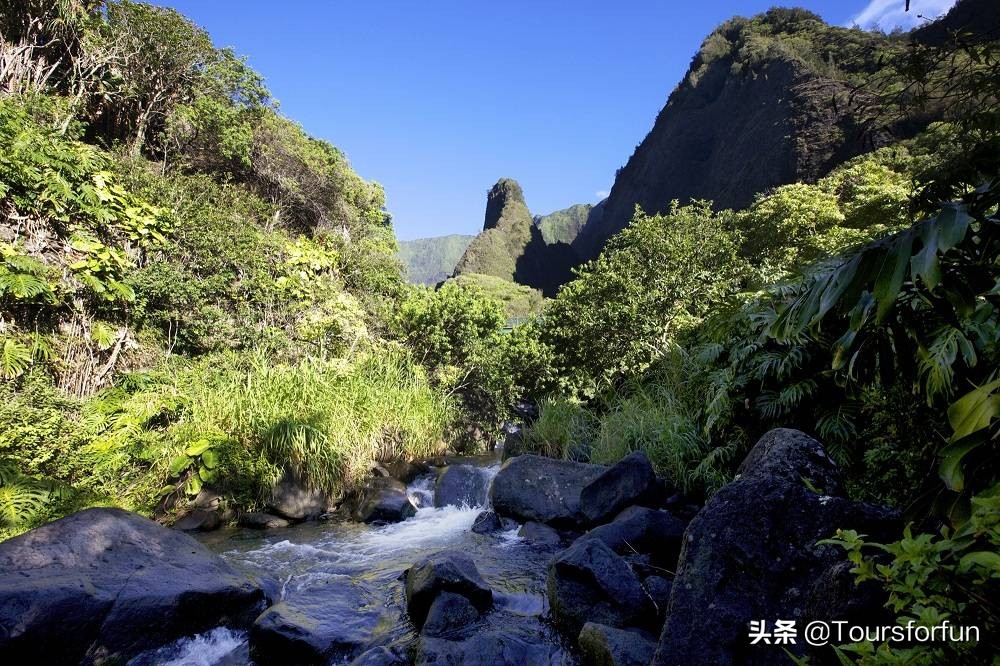 aloha夏威夷女装,aloha夏威夷吉他