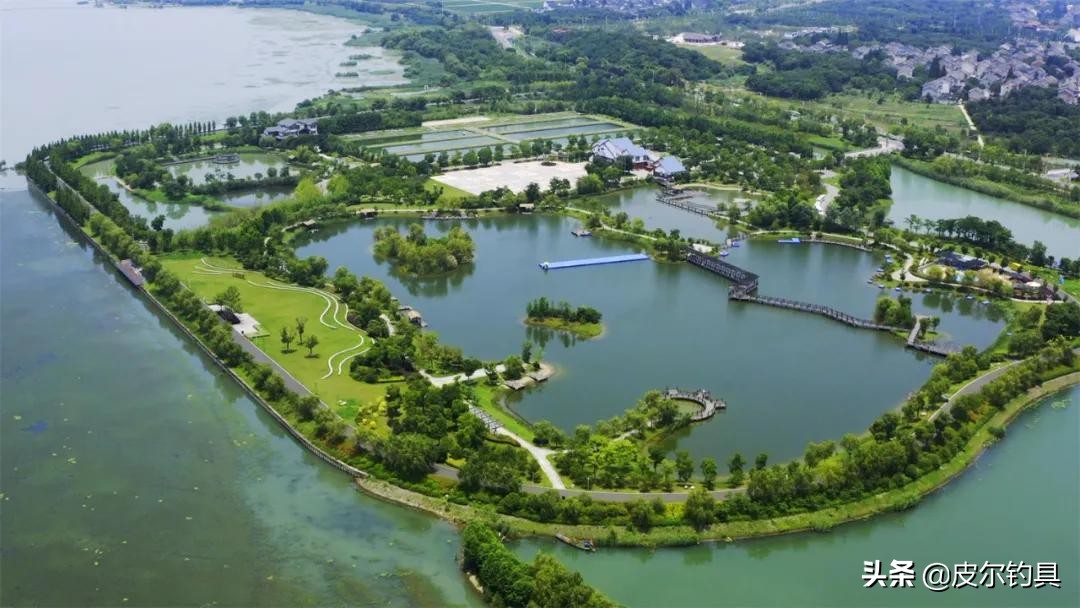 皮尔钓具推广赛,皮尔渔具官方旗舰店黑坑竞技版