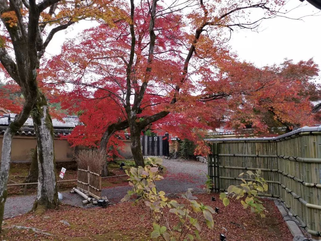 岚山哪有好玩的,日照岚山区值得去吗