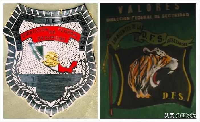 墨西哥到底经历过什么,墨西哥离美国太近离天堂太远