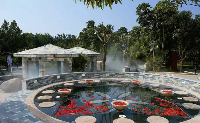 碧水湾温泉度假村只泡温泉可以吗,从化碧水湾温泉度假村有几个温泉