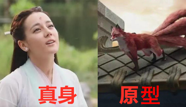 原著夜华白浅在一起了吗,白浅凤九夜华东华原型