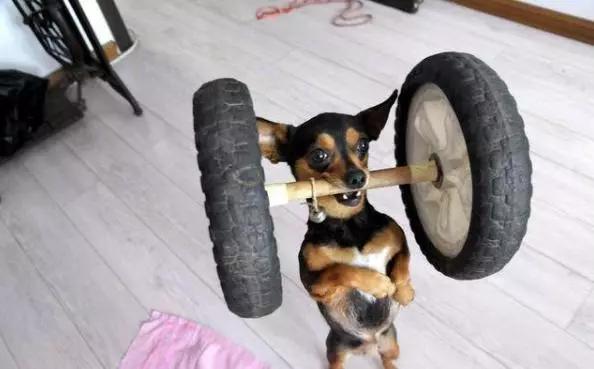 这五种情况下不能洗澡,这6种情况不建议立刻洗澡