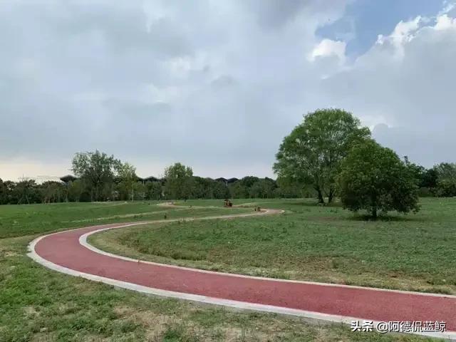 南中医怎么样,南中医专业