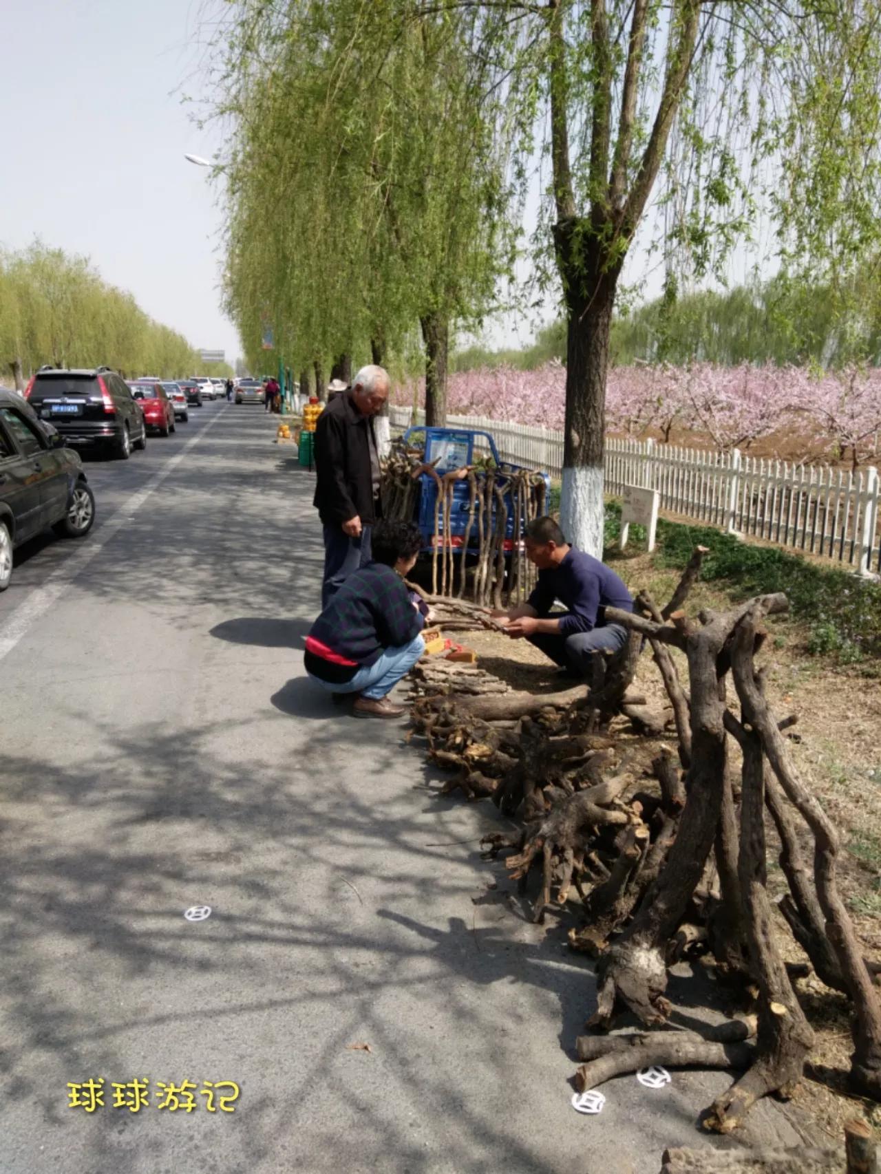 京郊游之平谷老象峰，带你从不同角度看惟妙惟肖的神象峰