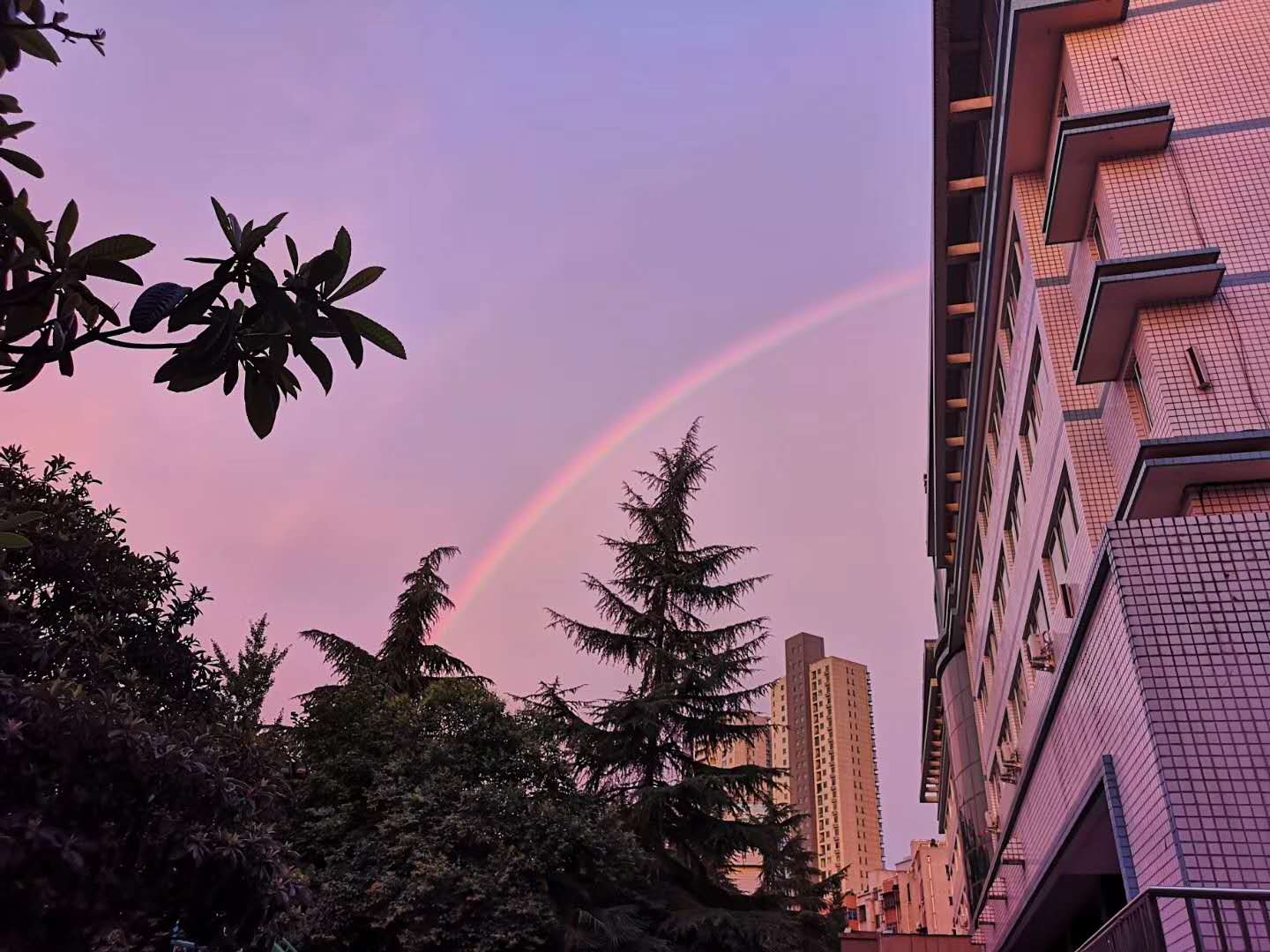 美丽洛城----被雨后彩虹霸屏的洛阳朋友圈