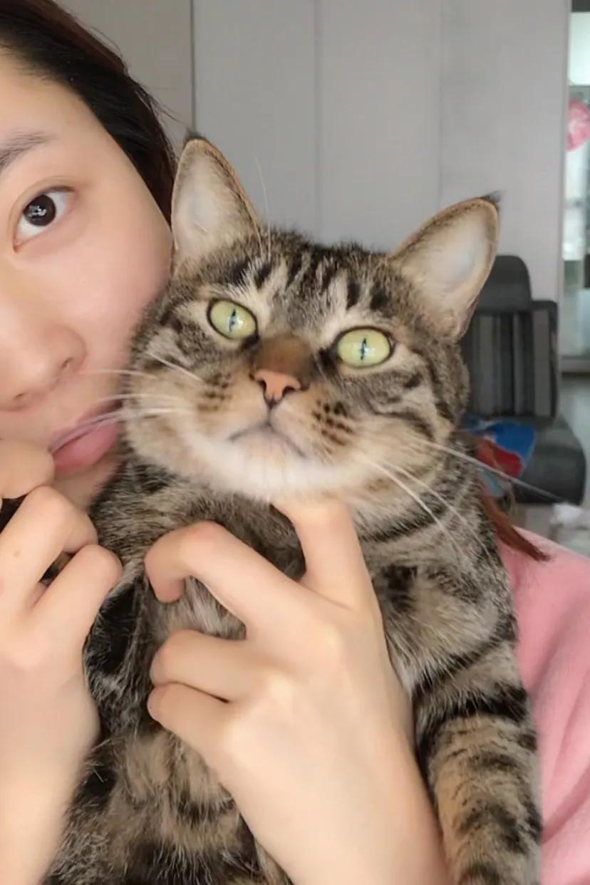 和宠物交流说什么,和宠物谈恋爱