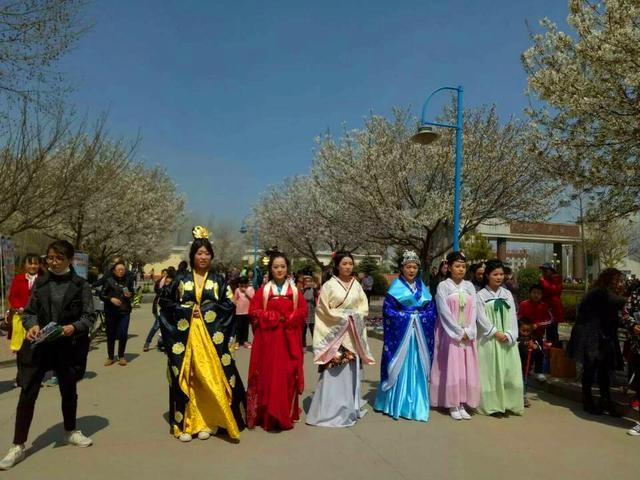 濮大樱花谢了吗,濮大樱花位置