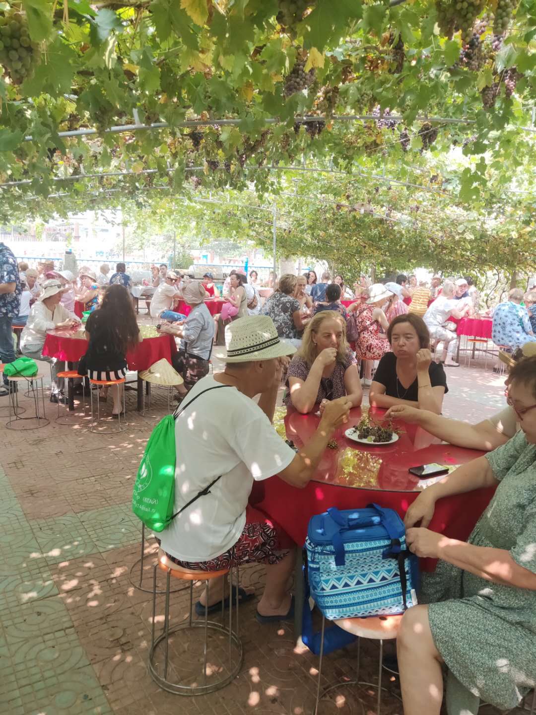 秦皇岛葡萄小镇农家院,昌黎葡萄沟吉祥吃住一体农家院