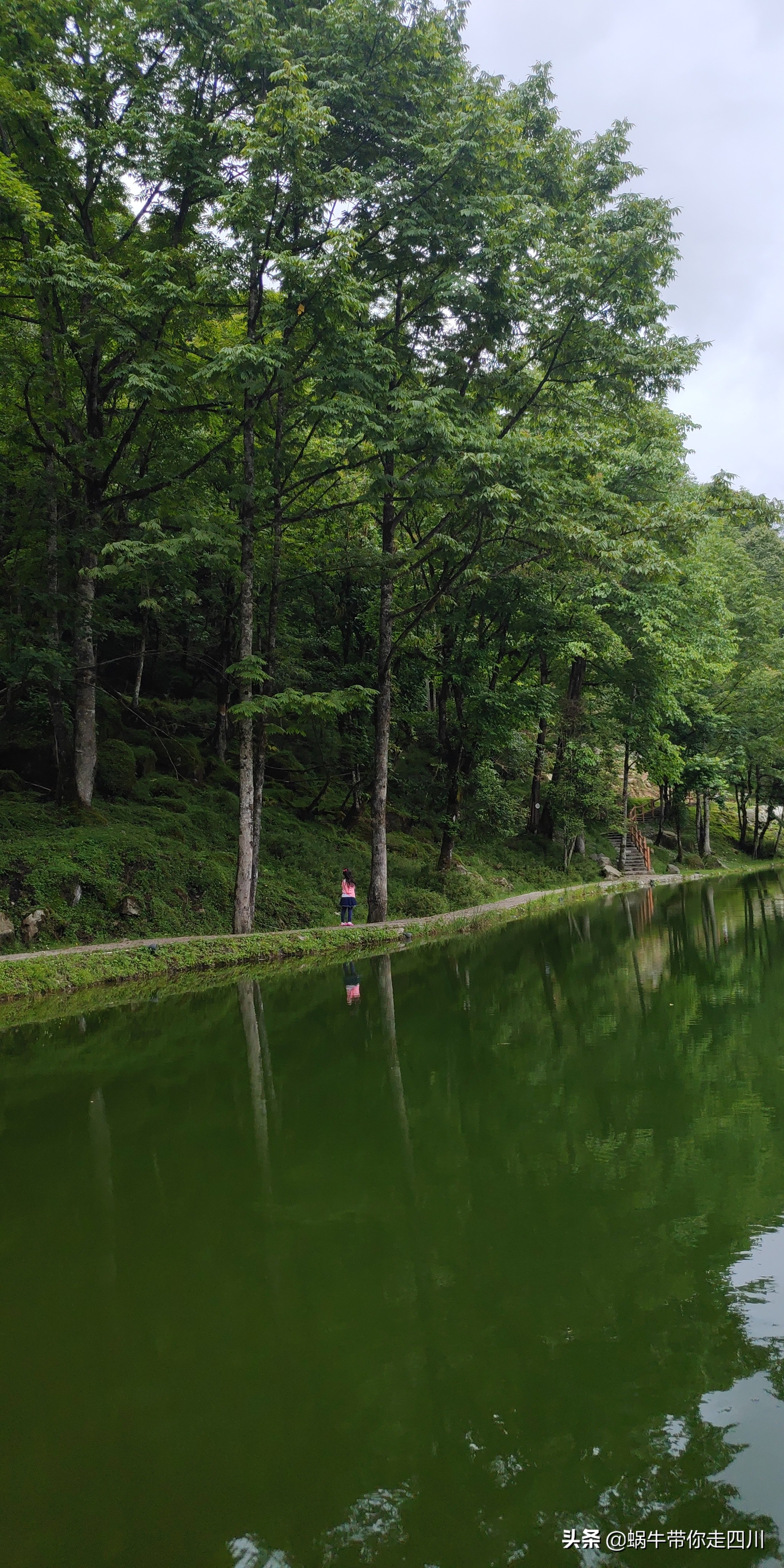 一家三口重庆到拉萨旅游攻略预算,一家三口成都去拉萨大概要多少钱