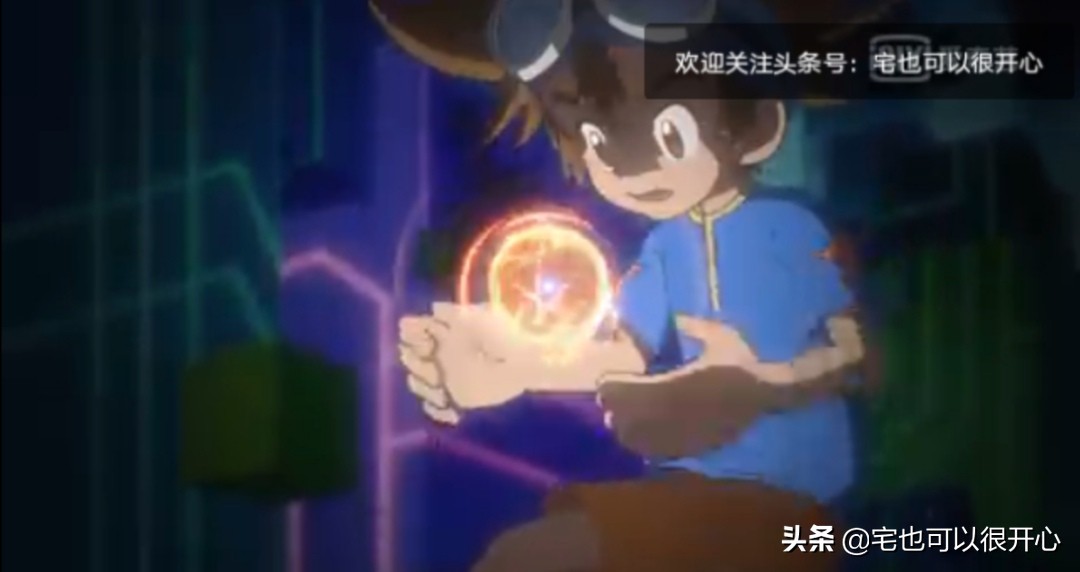 数码宝贝每一个代表什么含义,数码宝贝各个代表着什么