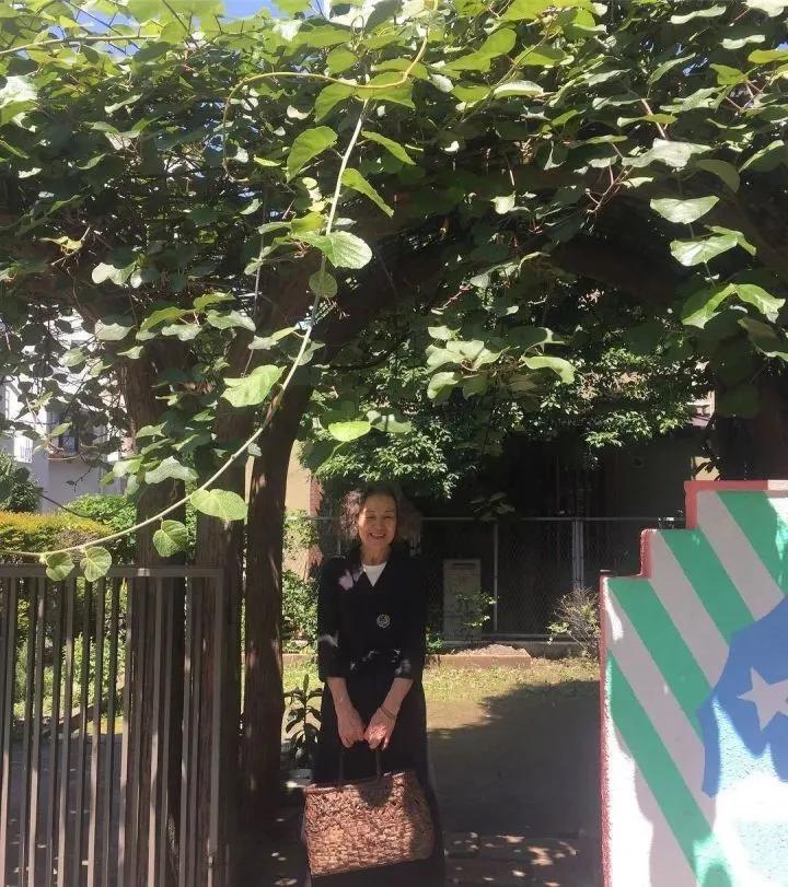 75岁日本家庭主妇日常,日本中年家庭主妇一天的真实生活