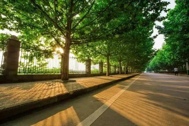 平顶山学院与师院,平顶山学院与许昌学院