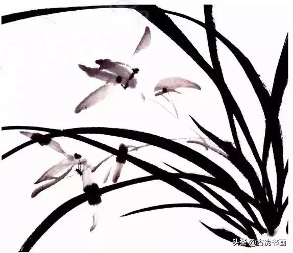 徐湛国画兰花技法教学,国画兰花入门技法