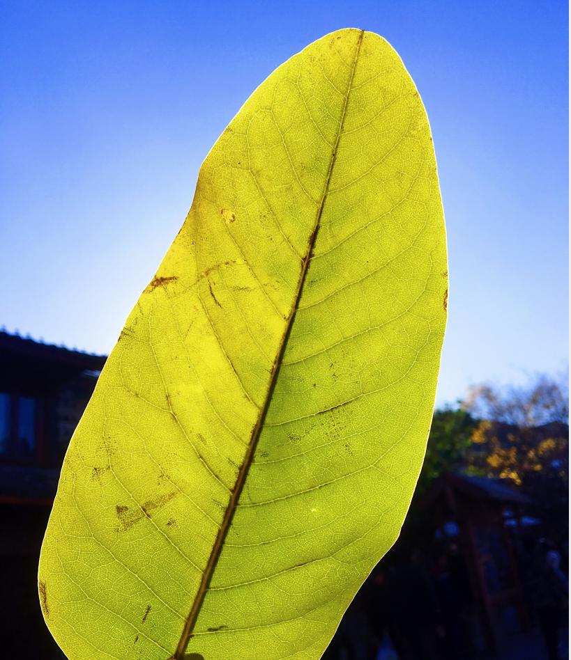 笔记本电脑显卡故障怎么解决,电脑驱动器电源状态故障如何解决