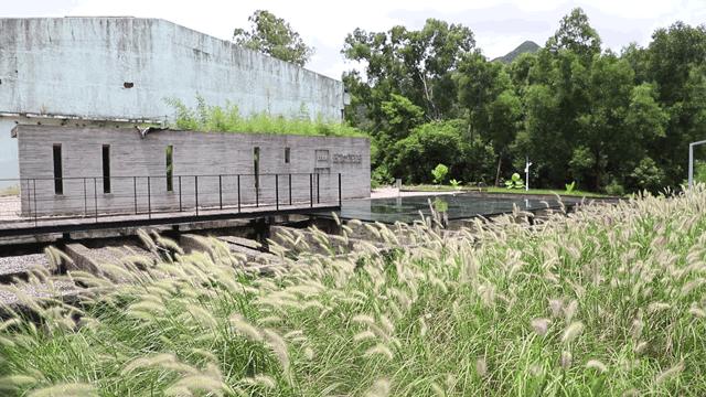 动物森友会无人岛一天可以去几次,动物森友会所有虫类图鉴