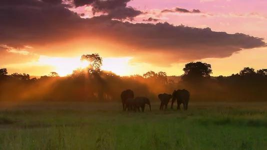 好看的经营种田流小说,5本优秀又耐看的基建种田类小说