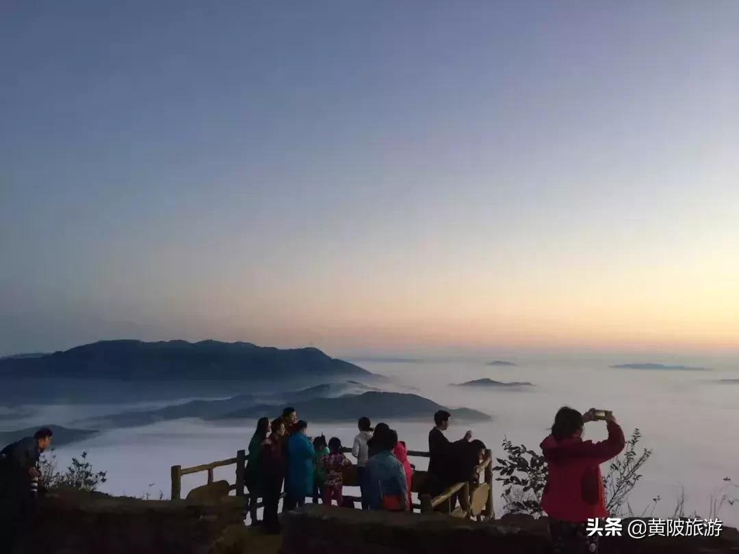 清凉寨樱花最佳赏花时间,清凉寨中华樱花