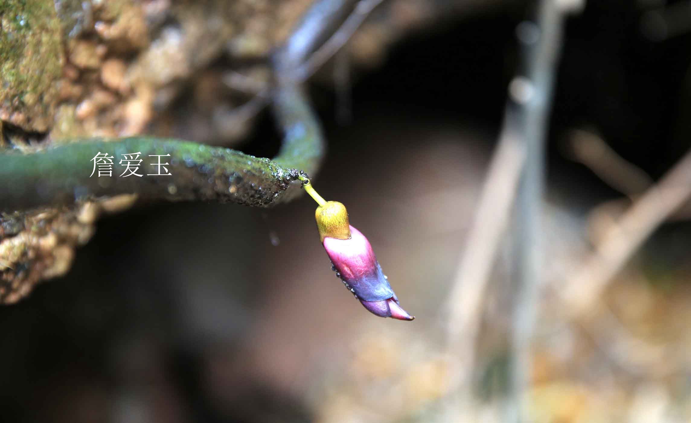 广丰周边一日游旅游景点推荐,广丰五一旅游攻略