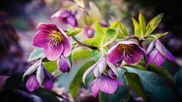 带朴的男孩名字寓意,带尚字的男孩名字