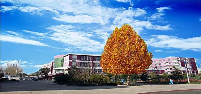 连云港华杰实验学校优点,名校巡礼海南中学