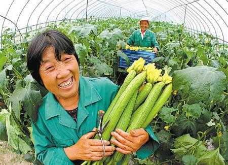 0177随笔，国庆佳节壮丽河山美如画，聚会京郊房山笔会金晟嘉