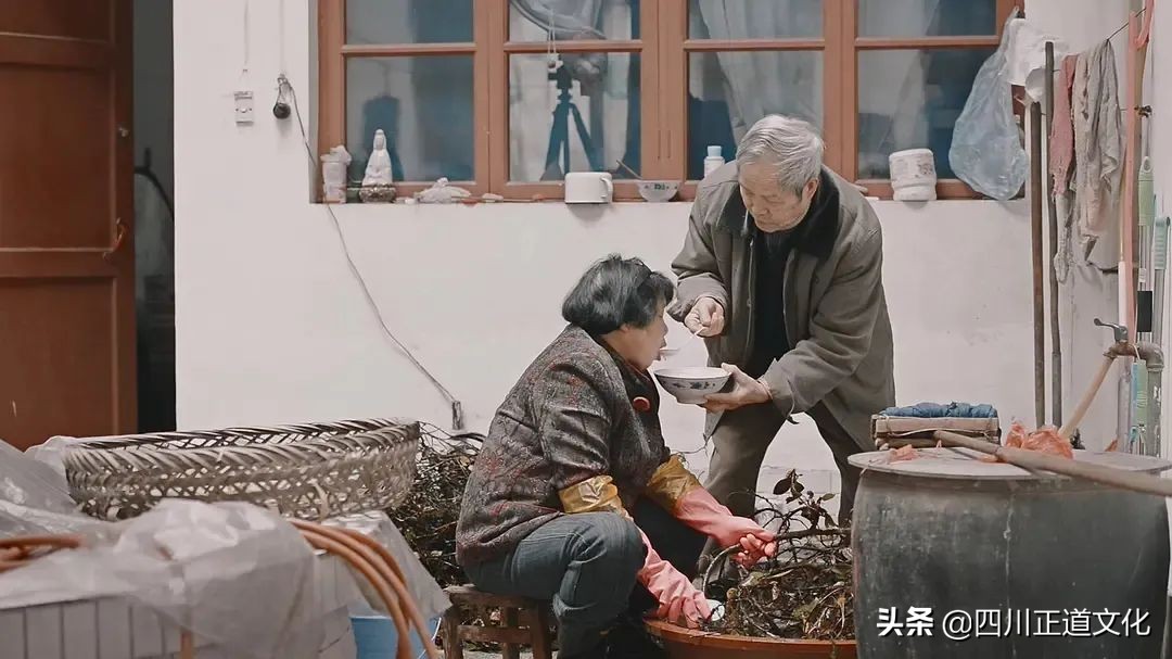 值得看的电影春天,春天的电影名字