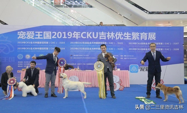 2018年cku全犬种中国展,cku吉林犬展