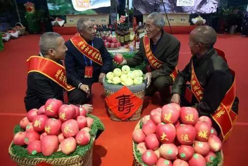 运城苹果销售图片,运城苹果最新行情