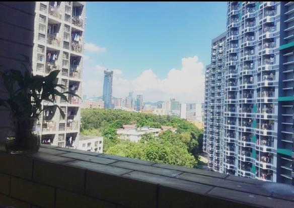 广东高校最美宿舍排行,中国最豪华的9所大学宿舍