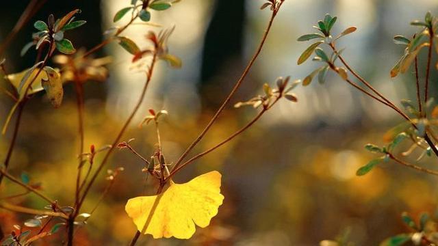 中年发迹的人有哪些特征,中年发迹的人的特点