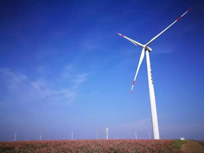 风电机遇,后发先至高质发展