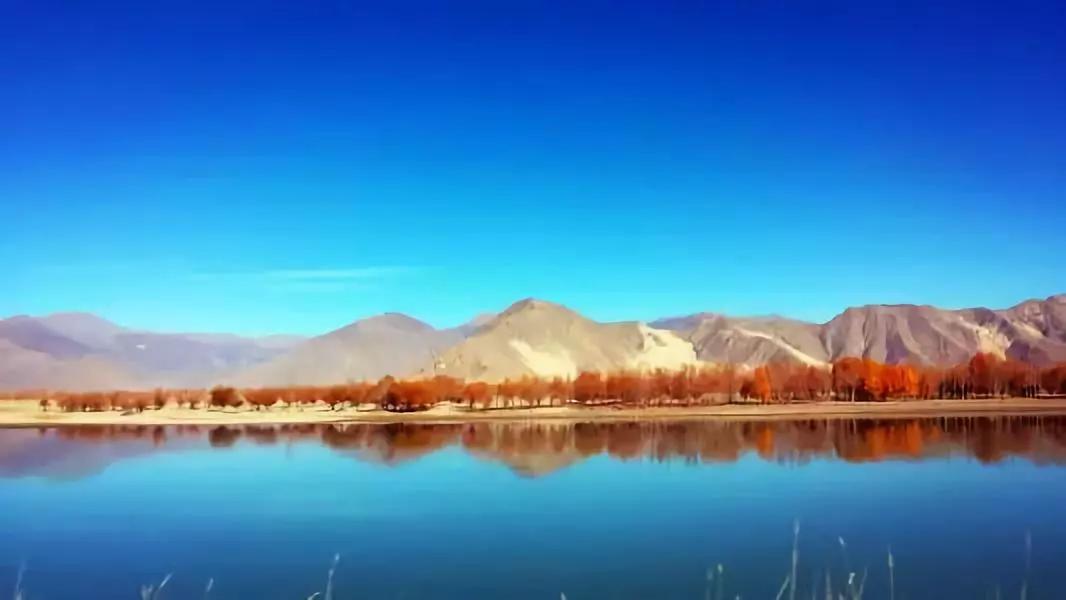 这些中国之最你知道吗,中国之最全部视频