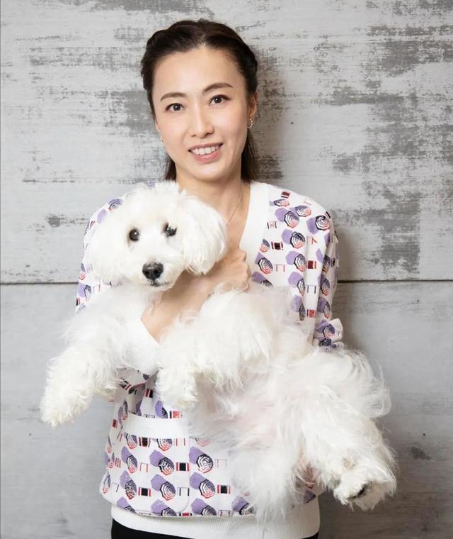 甘比嫁入豪门,甘比刘銮雄结婚