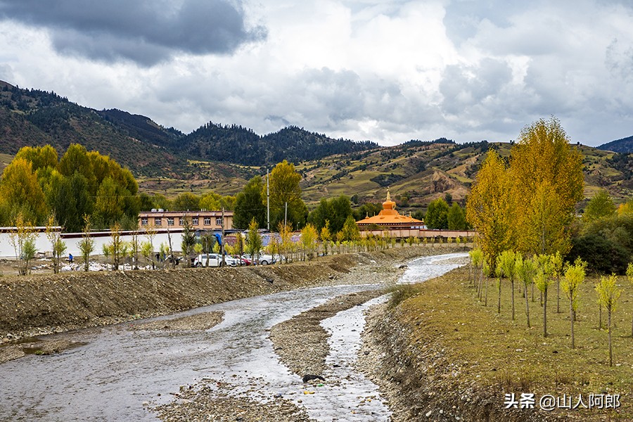 宸濊タ楂樺師澶ц崏鍘熺殑璺笂鐓х墖,闈掕棌楂樺師涓婄殑鑽夊師闆北椋庢櫙