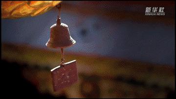 情深谊长扎西德勒,重磅微视频扎西德勒