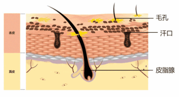 洗澡都玩上黑科技了！一分钟震动25500次，1次充电可使用约90天