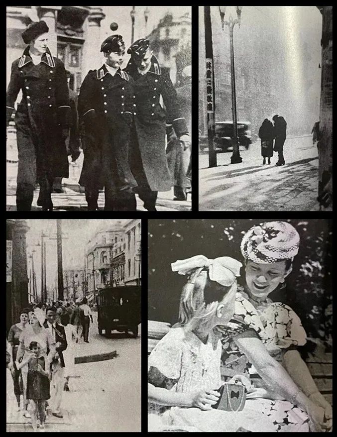 范德彪穿的斐乐,彪哥为什么穿斐乐