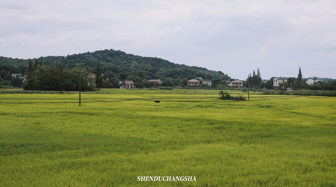 长沙秋季旅游景点推荐,长沙旅游攻略必玩的十大景点推荐