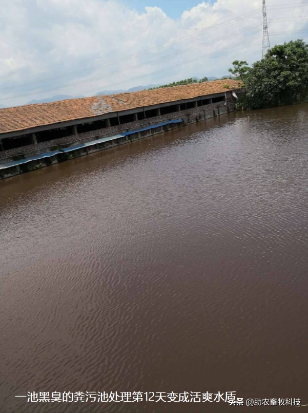 养殖废水浓缩处理方法,小型养殖场废水处理方案